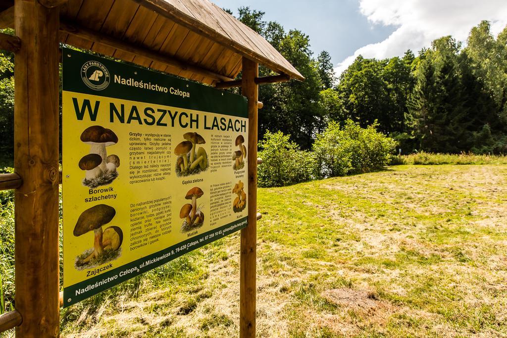 Gospodarstwo Nad Jeziorem Zalom  Bagian luar foto