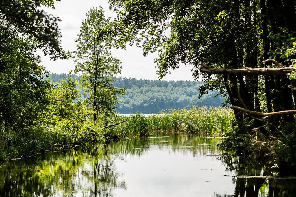 Gospodarstwo Nad Jeziorem Zalom  Bagian luar foto
