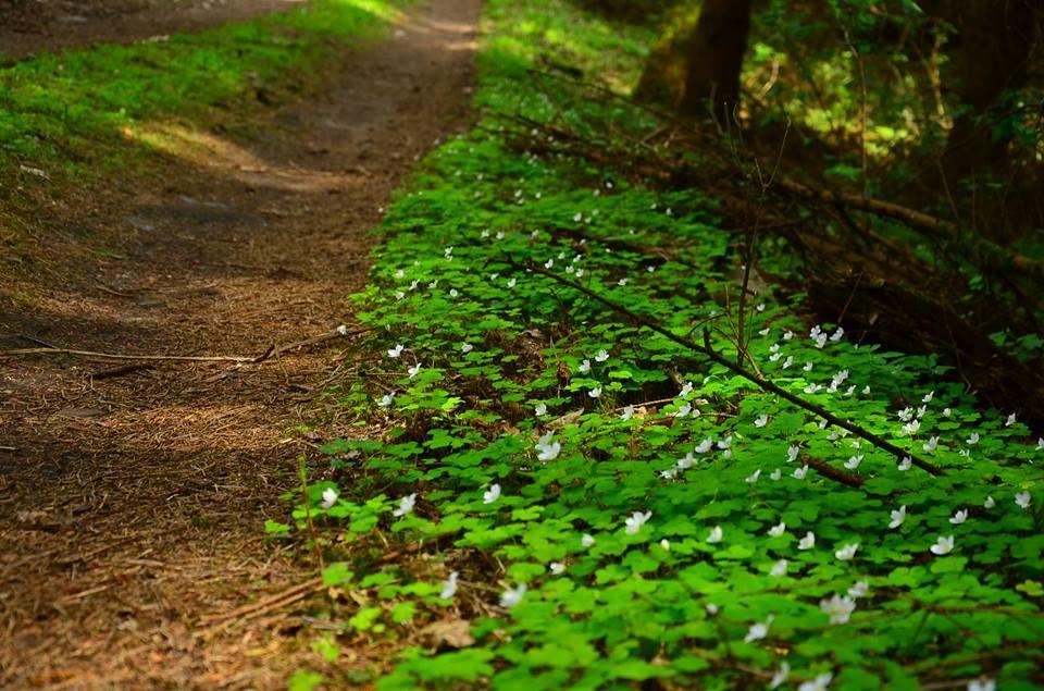Gospodarstwo Nad Jeziorem Zalom  Bagian luar foto