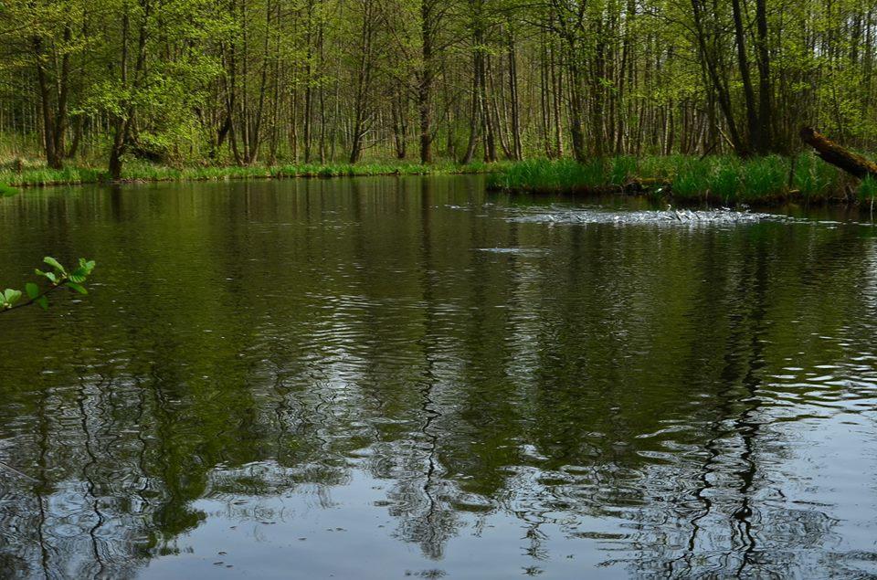 Gospodarstwo Nad Jeziorem Zalom  Bagian luar foto